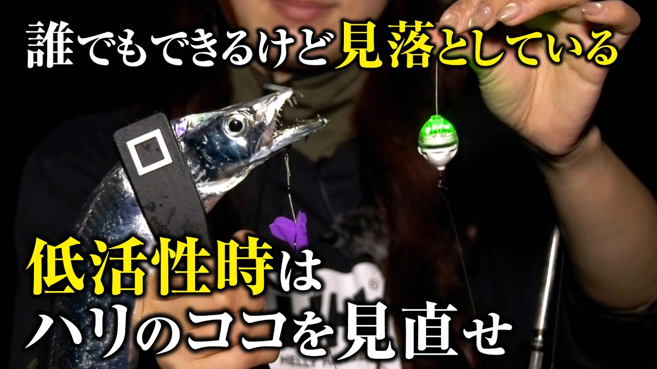 タチウオを簡単に釣りたい人に釣果がアップする秘訣を解説します