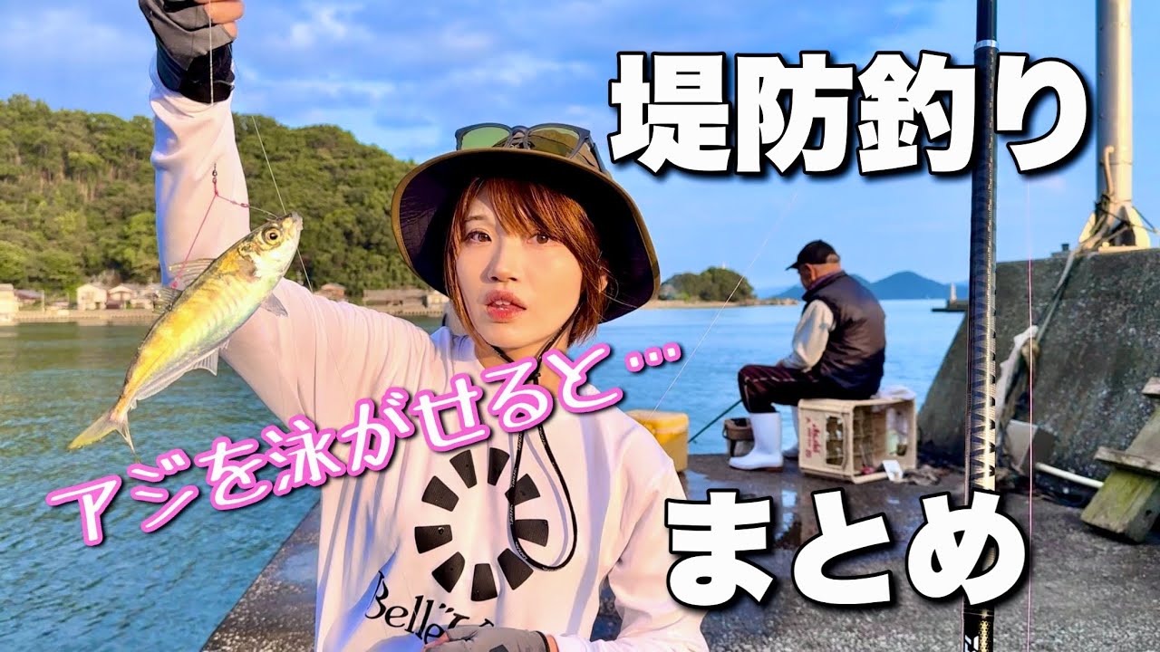 秋の堤防釣り動画まとめ【アジ泳がせ/ちょい投げ/エギング】