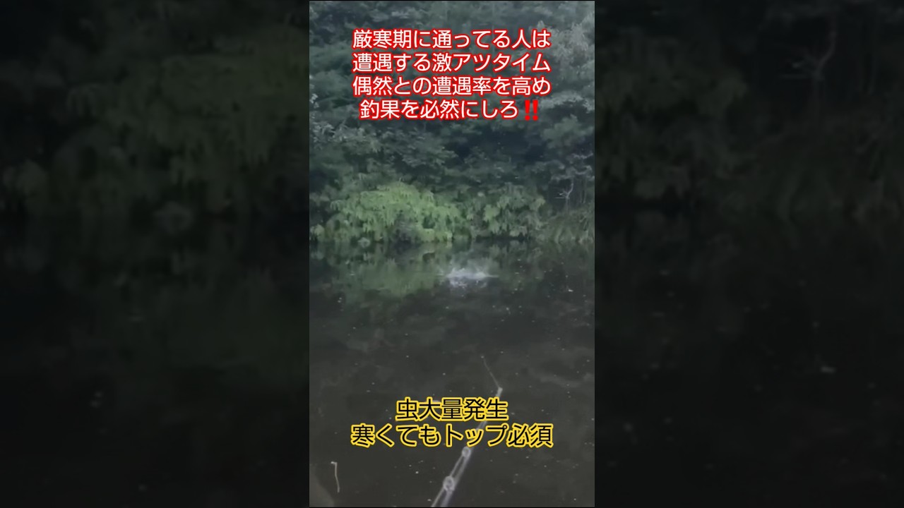 みんな!! ”水面疑似餌(トップ)”キメろォォ!!kumiffy  #バス釣り #バスフィッシング #釣り女子 #釣りガール #トップウォーター