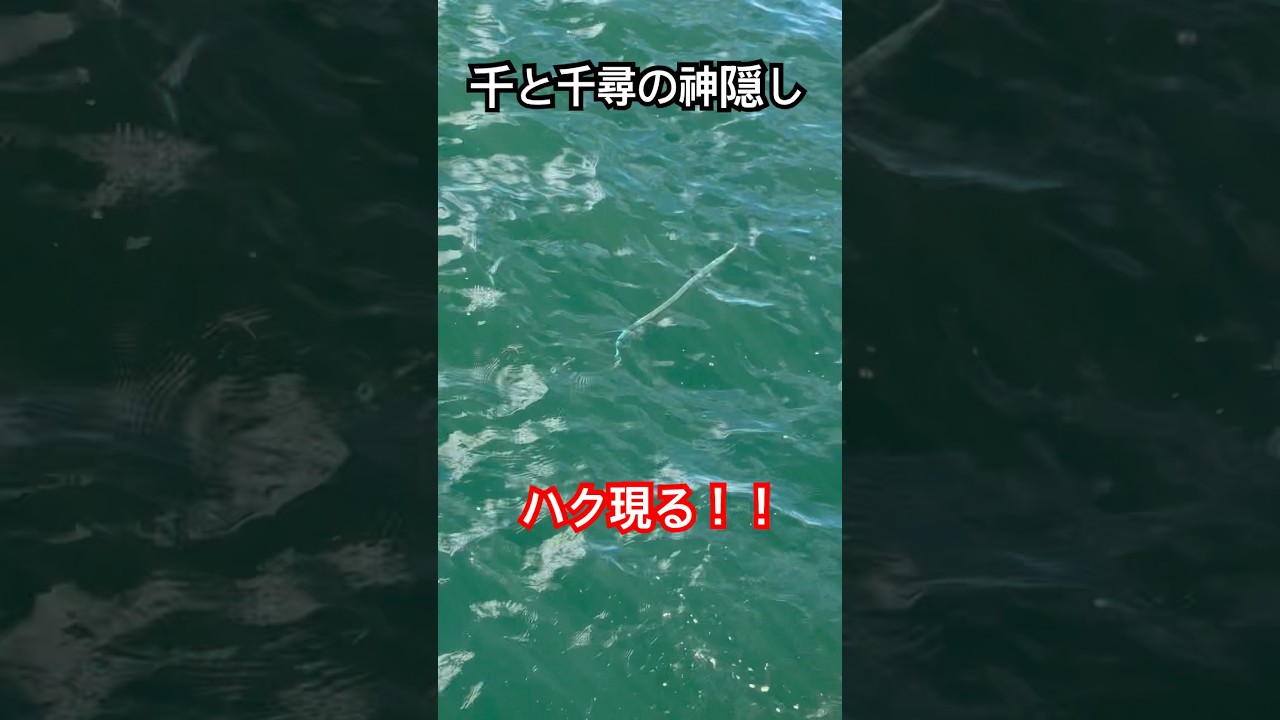 【釣り】初めて遭遇した！ニョロニョロのやつ！！😱#shorts #釣り #釣りガール #舞洲 #ななほしチャンネル