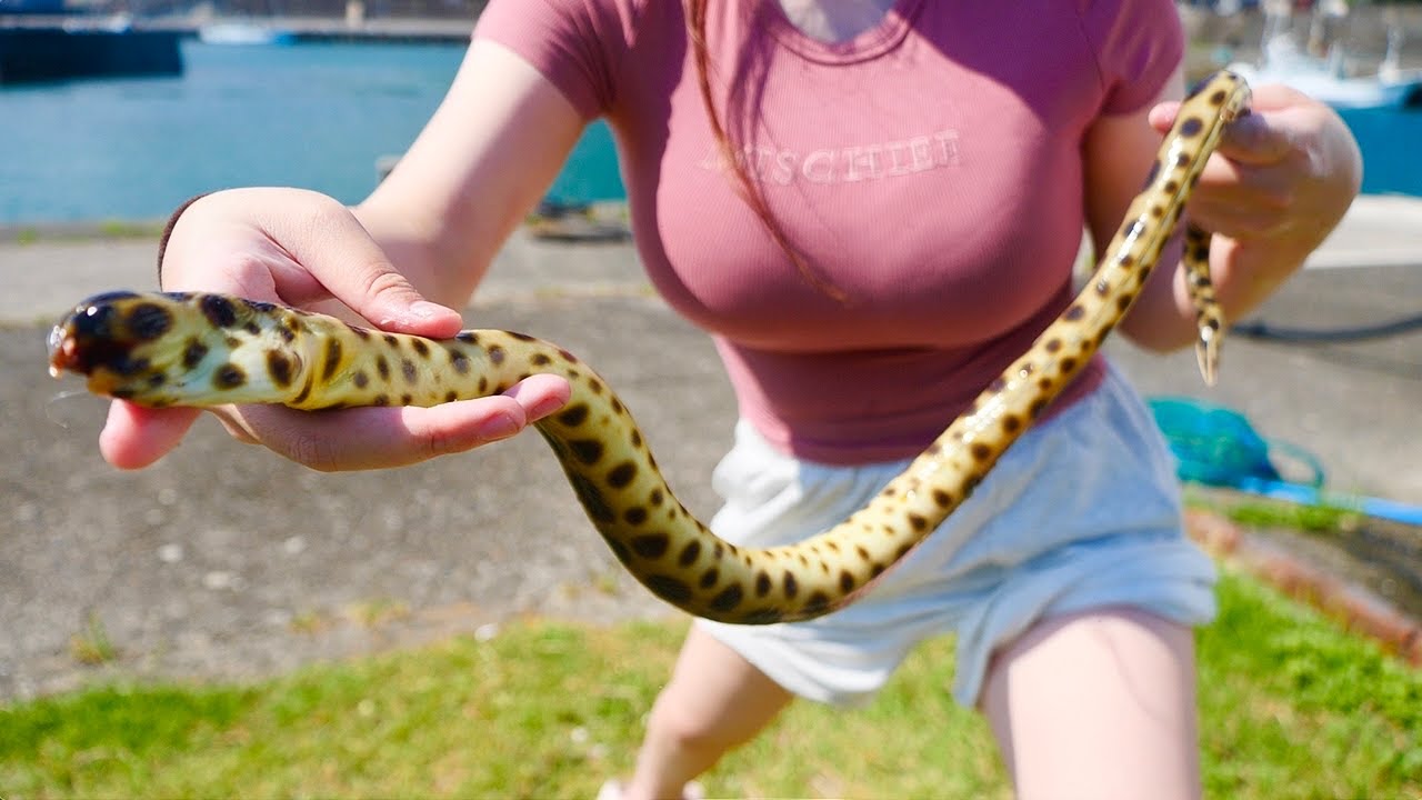 変なの釣れたから捌いて食べてみよう。